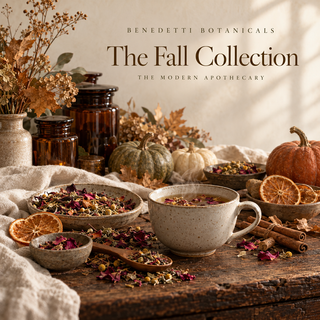 The Fall Collection